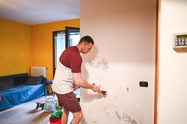 Best Emergency Mold Remediation in Villas, FL